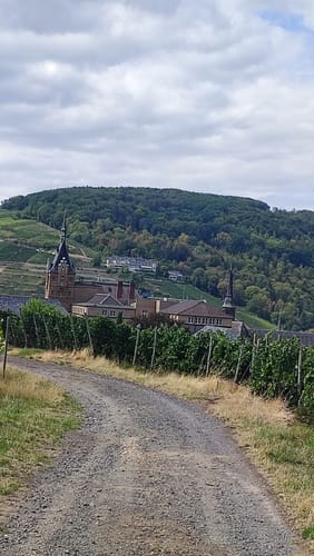 Ahrsteig Etappe 6: Walporzheim - Bad Neuenahr Mitte