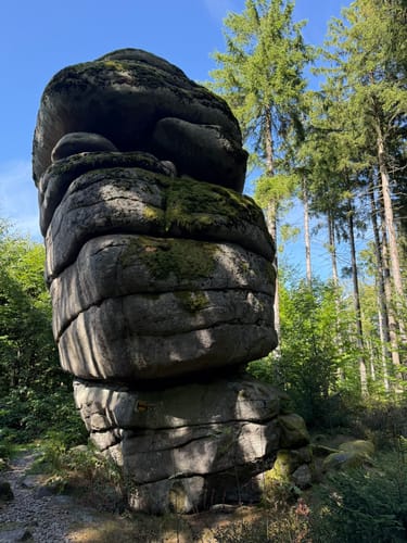 Planer Höhe - Schellenberg - Rabenberg - Gehenhammer