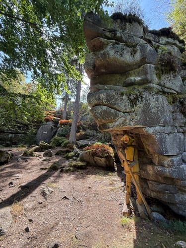 Planer Höhe - Schellenberg - Rabenberg - Gehenhammer