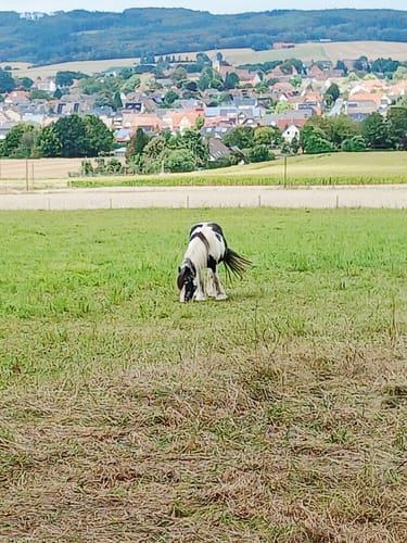 Um den Kleinen Berg ab Bad Rothenfelde