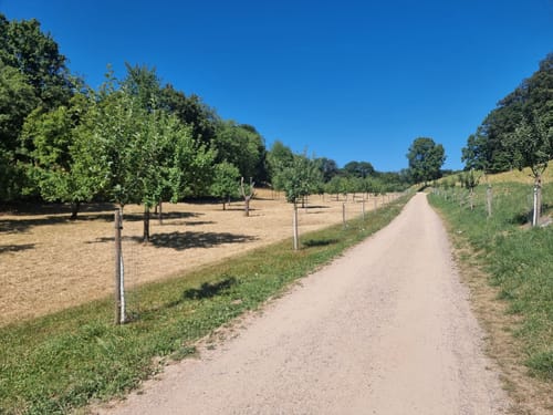 Lautertal-Reichenbach: L2 Odenwald-Bergsträßer-Runde
