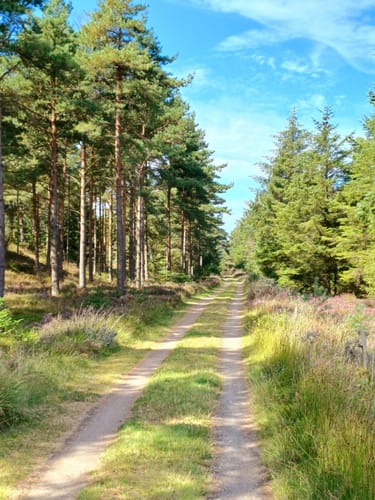 Ø-Camino Fanø Etape 1: Nordby - Sønderho