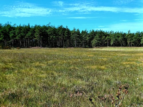Ø-Camino Fanø Etape 1: Nordby - Sønderho
