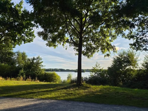 Rund um den Lippesee