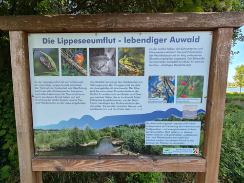 Rund um den Lippesee