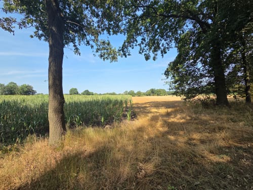 Jägerheide Rundweg A4