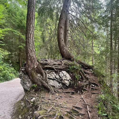 Eibsee Rundweg