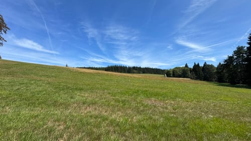 Neualbenreuth: Auf stillen Waldpfaden zur Grenze