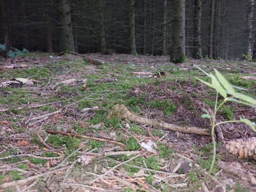 Um den Kleinen Berg ab Bad Rothenfelde