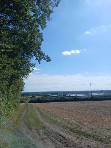 Um den Kleinen Berg ab Bad Rothenfelde