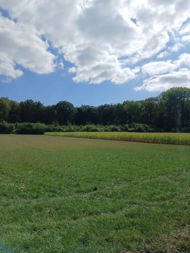 Um den Kleinen Berg ab Bad Rothenfelde