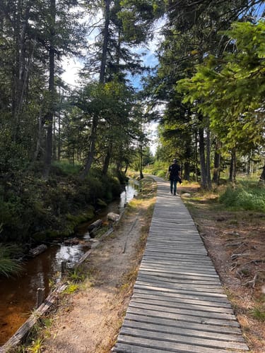 Bad Harzburg über den Brocken