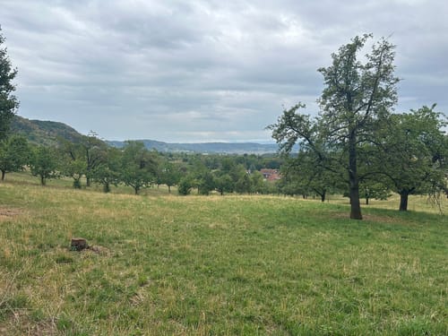 Panoramawanderung Mönchberg - Kayh