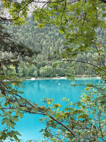 Alpsee Rundweg