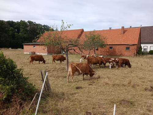 Grenzgängerroute Teil 2 - Füchtorf - Bad Iburg - Bad Laer