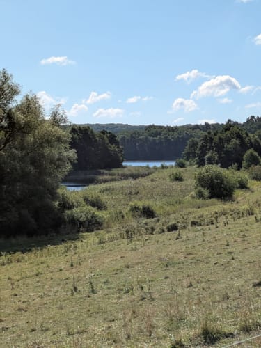 Rundwanderweg Grünes Eichenblatt