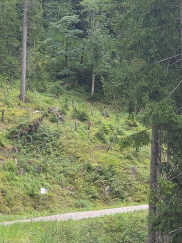 Rund um den Plansee
