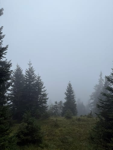 Herzogstand und Heimgarten
