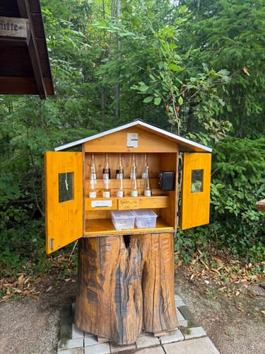 Oberkircher Brennersteig