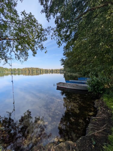 Carpin Runde