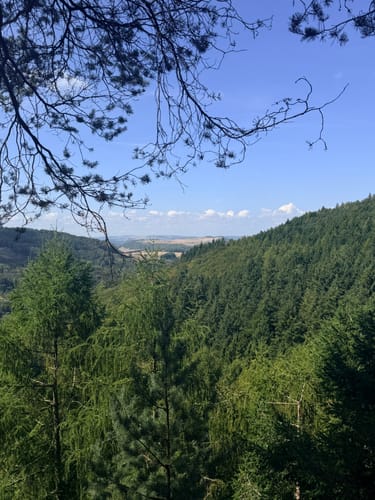 Naturpark Südeifel Wanderweg Nr. 55 - Bollendorf