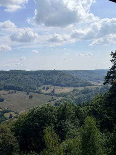 Naturpark Südeifel Wanderweg Nr. 55 - Bollendorf