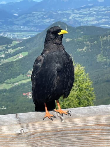 Kehlsteinhaus
