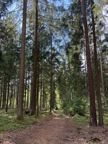 Wanderweg Rabenleite