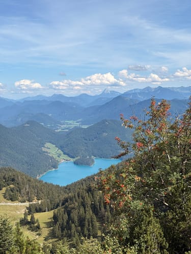 Herzogstand ab Walchensee