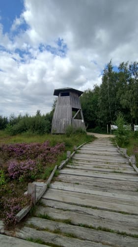 Großes Torfmoor