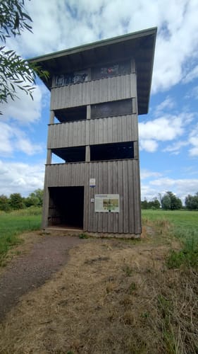 Großes Torfmoor