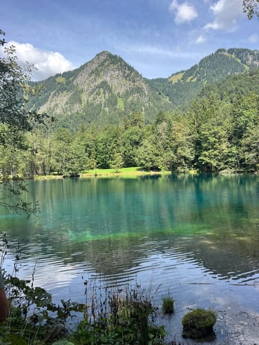 Christlessee - Dietersbachalpe - Hahnenkopf