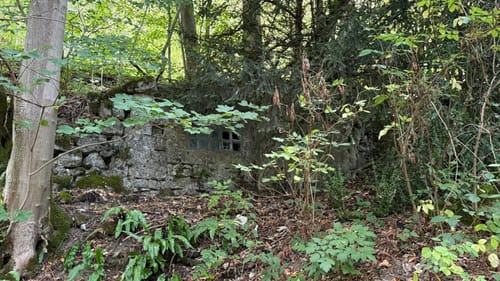 Um den Runden Berg über Uracher Wasserfall
