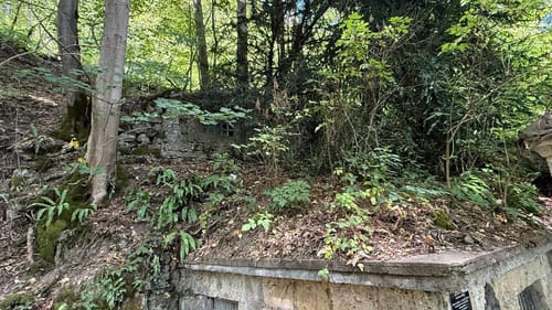 Um den Runden Berg über Uracher Wasserfall