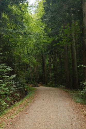 Hörschbachwasserfälle