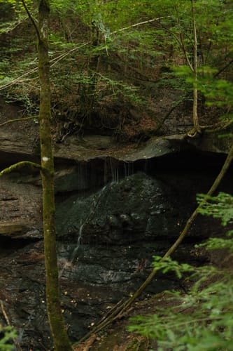 Hörschbachwasserfälle