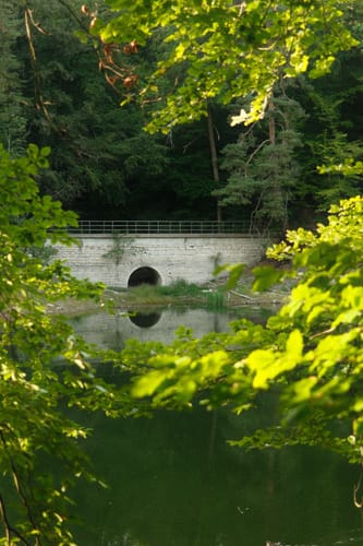Bärensee Rundweg