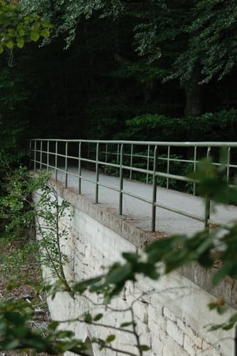 Bärensee Rundweg