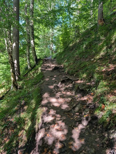 Neuschwanstein Rundweg