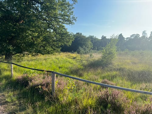 Durch den Diersfordter Wald zur Dünenlandschaft