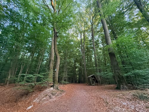 Wiesbaden über Neroberg und Leichtweißhöhle