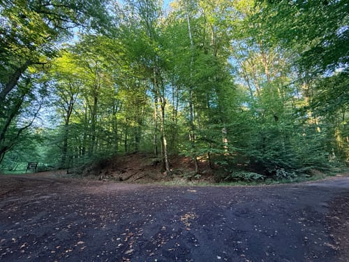Wiesbaden über Neroberg und Leichtweißhöhle