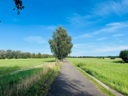 Lübars - Tegeler See - Rosenthal