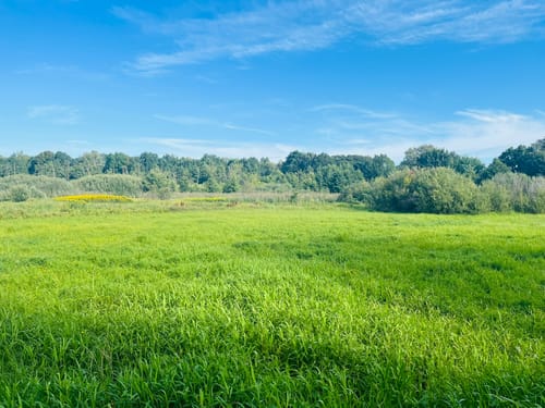 Lübars - Tegeler See - Rosenthal