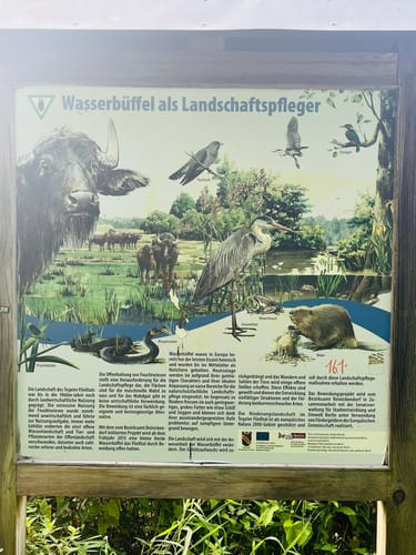 Lübars - Tegeler See - Rosenthal