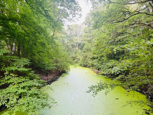 Lübars - Tegeler See - Rosenthal