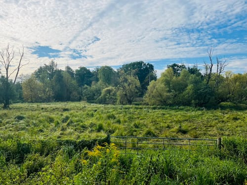 Lübars - Tegeler See - Rosenthal