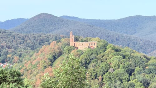 Wanderfit - Bad Dürkheim Panoramaweg des Drachenfels-Clubs
