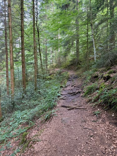 Burgbachwasserfall und Burgbachfelsen