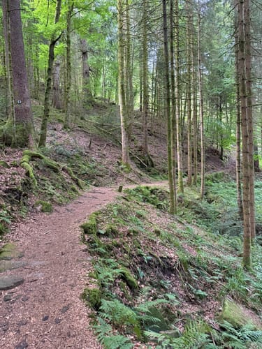 Burgbachwasserfall und Burgbachfelsen
